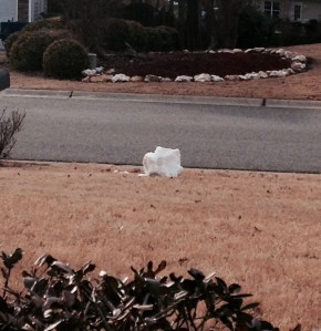 RIP Snowman, gunned down by the glorious thaw.